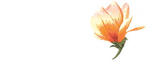 Scion International